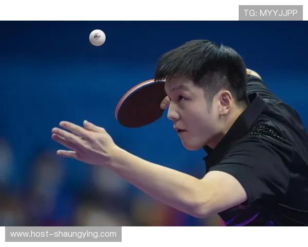 樊振东最新世界排名直播全程解读与精彩瞬间回顾